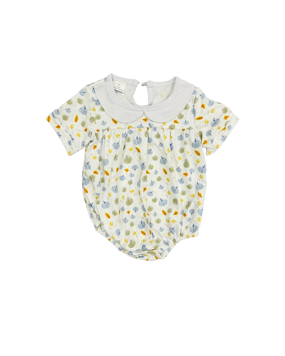 Pumpkin Print Bubble