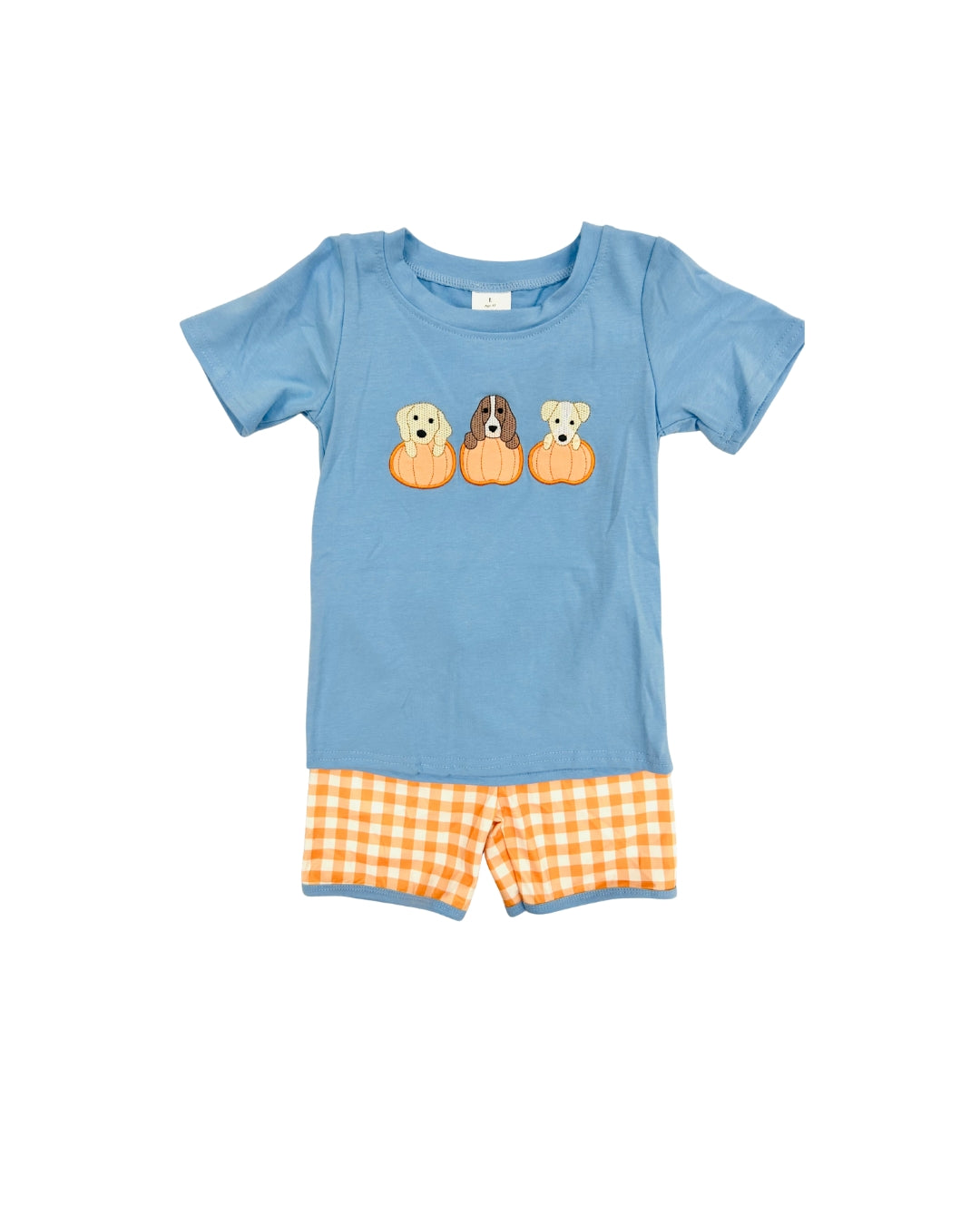 Blue/Orange Puppy Pumpkin Short Set