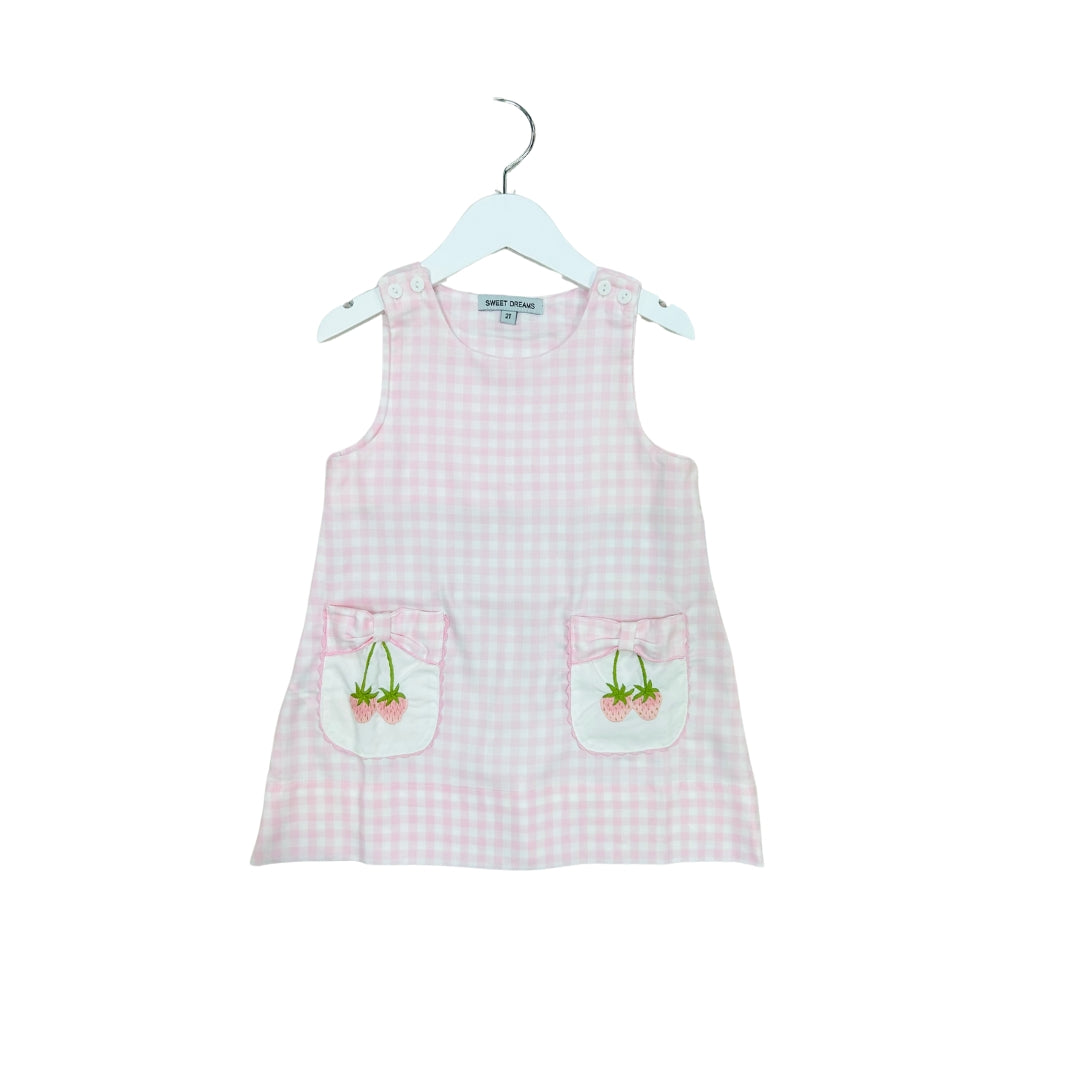 Sweet Dreams Pink Check Dress with Embroidered Strawberry Pockets