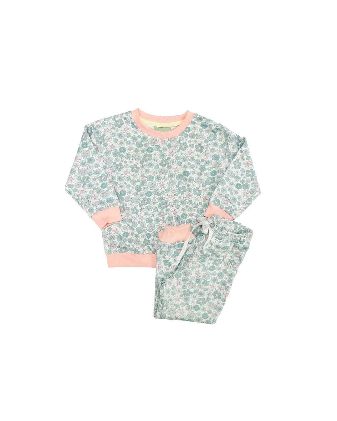 Sage & Lily Teal/Pink Floral Jogger Set