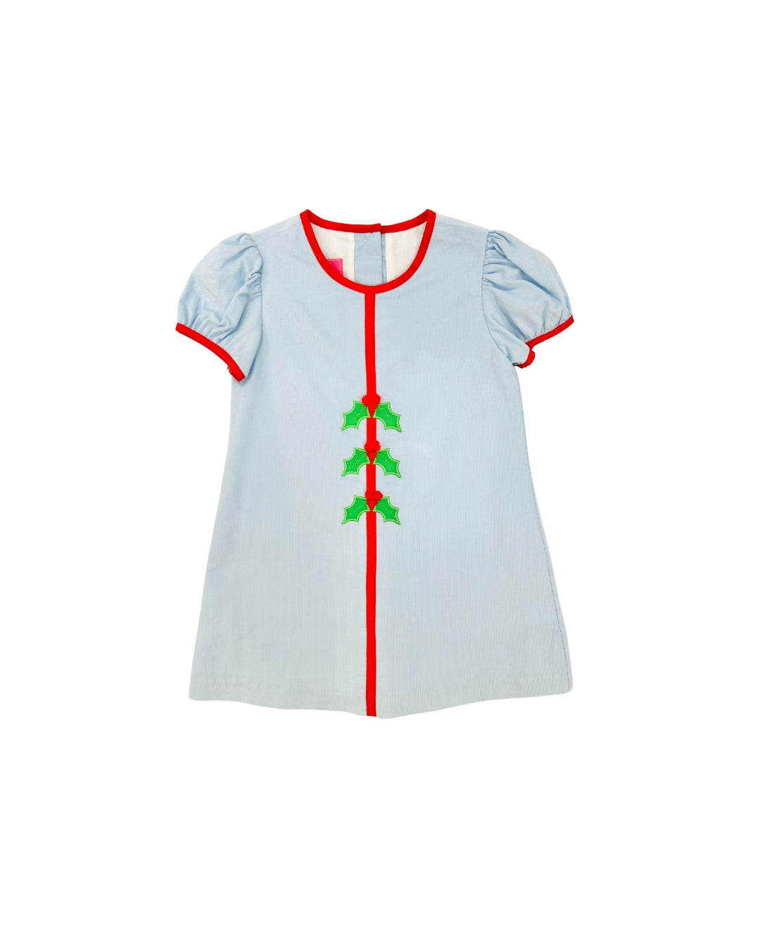 Claire & Charlie Blue Mistletoe Applique Dress