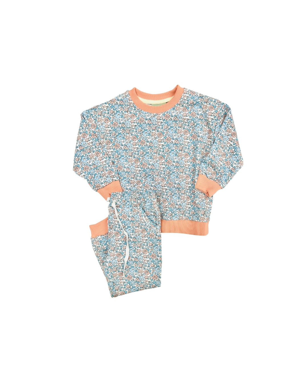 Sage & Lily Blue/Pink Floral Jogger Set